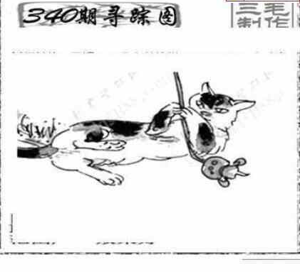 23340期: 三毛3D精品图谜