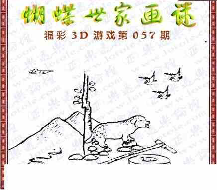 24057期: 3D蝴蝶世家蝴蝶彩图