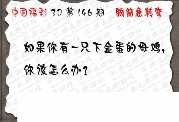 23146期: 3D蝴蝶世家蝴蝶彩图