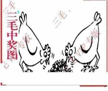 24054期: 老村长福彩3D天天图谜