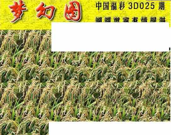 24025期: 3D蝴蝶世家蝴蝶彩图