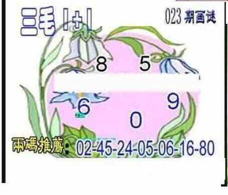 24023期: 三毛3D精品图谜