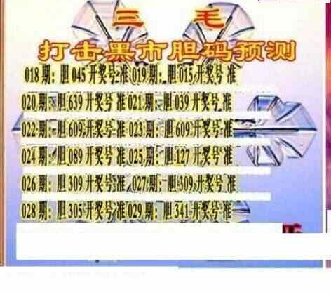 24029期: 三毛3D精品图谜