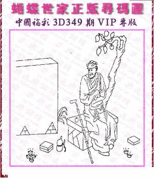 23349期: 3D蝴蝶世家蝴蝶彩图