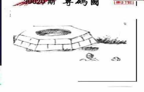 24020期: 三毛3D精品图谜