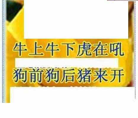 24028期: 三毛3D精品图谜