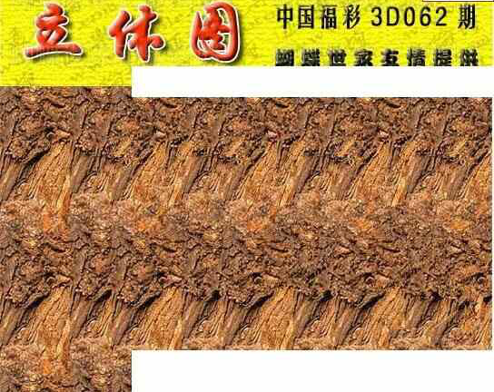 24062期: 3D蝴蝶世家蝴蝶彩图