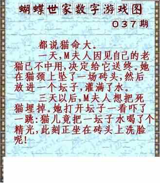 24037期: 3D蝴蝶世家蝴蝶彩图