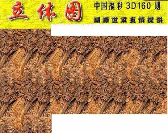 23160期: 3D蝴蝶世家蝴蝶彩图