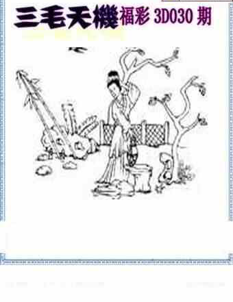 24030期: 三毛3D精品图谜