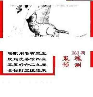 24060期: 三毛3D精品图谜