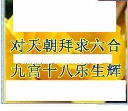 24011期: 三毛3D精品图谜