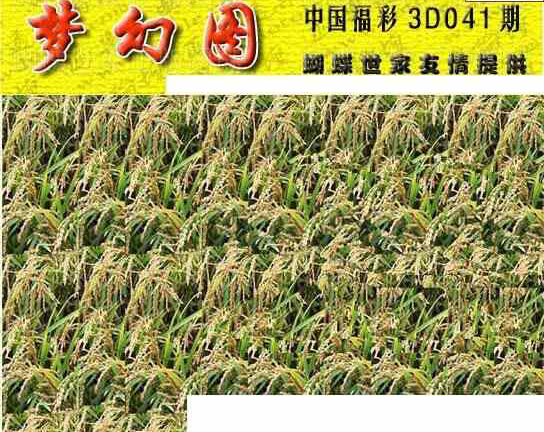 24041期: 3D蝴蝶世家蝴蝶彩图