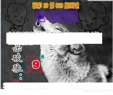 24029期: 三毛3D精品图谜