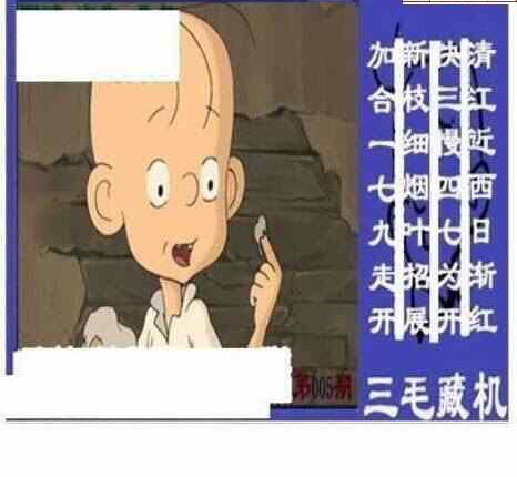24005期: 三毛3D精品图谜
