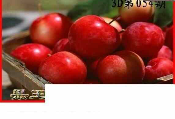 24054期: 白老3D杀码图版