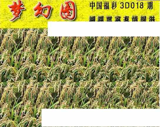 24018期: 3D蝴蝶世家蝴蝶彩图