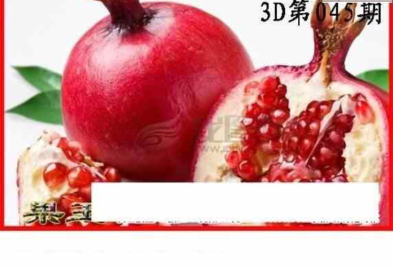 24045期: 白老3D杀码图版
