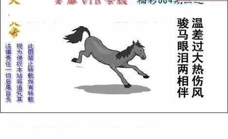 24064期: 白老3D杀码图版