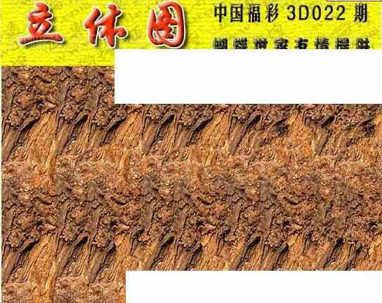 24022期: 3D蝴蝶世家蝴蝶彩图