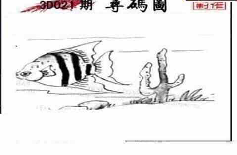 24021期: 三毛3D精品图谜