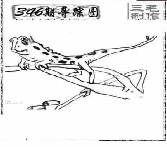 23346期: 三毛3D精品图谜