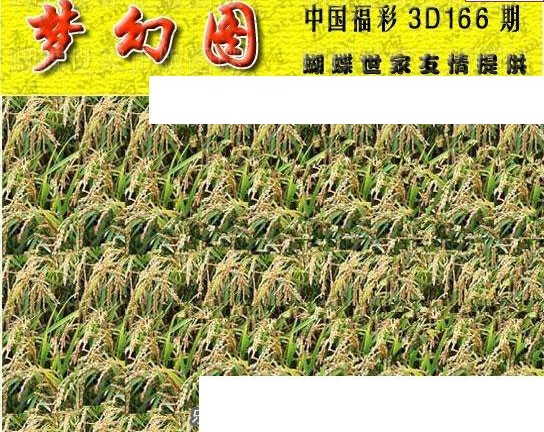 23166期: 3D蝴蝶世家蝴蝶彩图