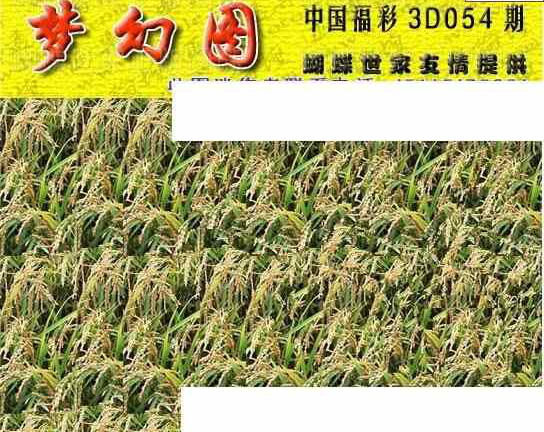 24054期: 3D蝴蝶世家蝴蝶彩图