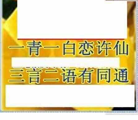 24029期: 三毛3D精品图谜