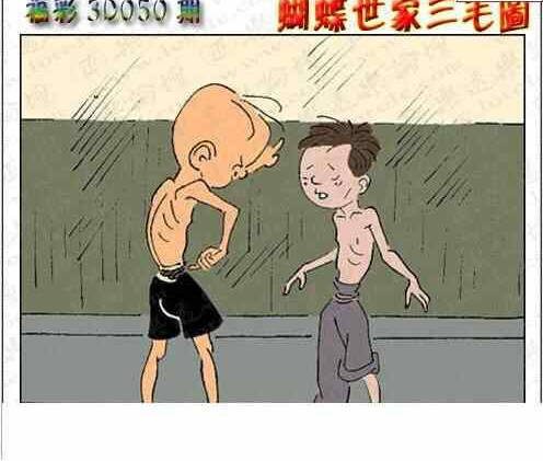 24050期: 3D蝴蝶世家蝴蝶彩图