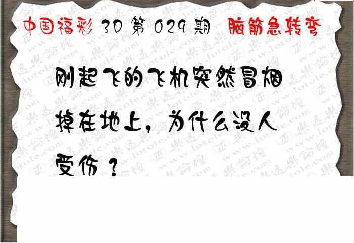 24029期: 3D蝴蝶世家蝴蝶彩图