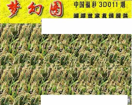 24011期: 3D蝴蝶世家蝴蝶彩图