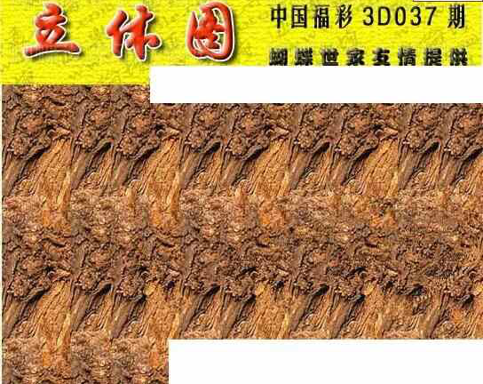 24037期: 3D蝴蝶世家蝴蝶彩图