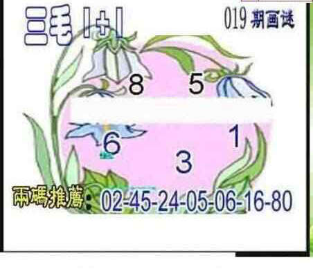 24019期: 三毛3D精品图谜