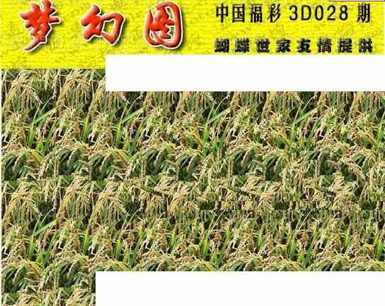 24028期: 3D蝴蝶世家蝴蝶彩图