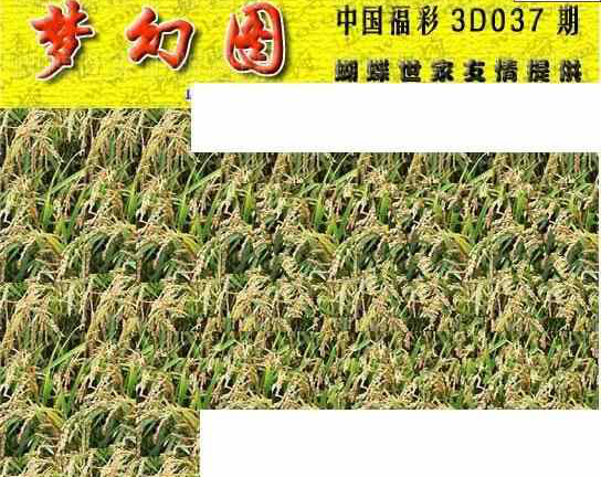 24037期: 3D蝴蝶世家蝴蝶彩图