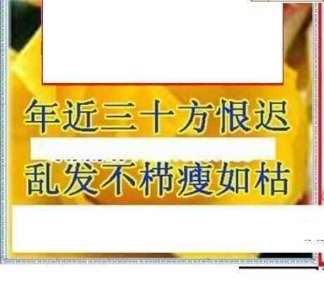 24012期: 三毛3D精品图谜