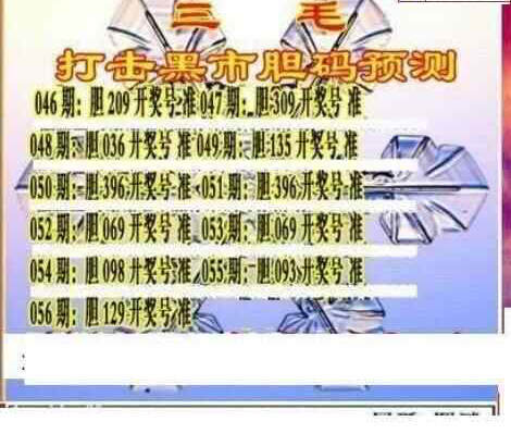 24056期: 三毛3D精品图谜