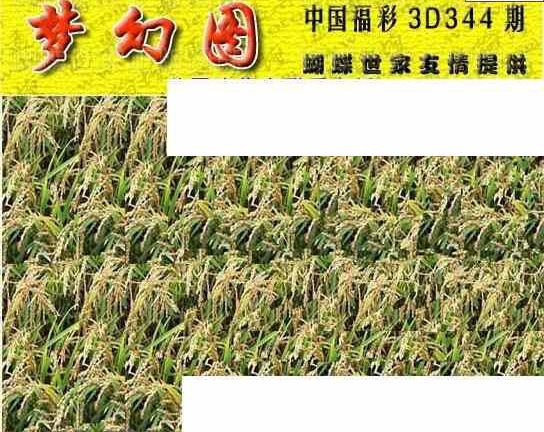 23344期: 3D蝴蝶世家蝴蝶彩图