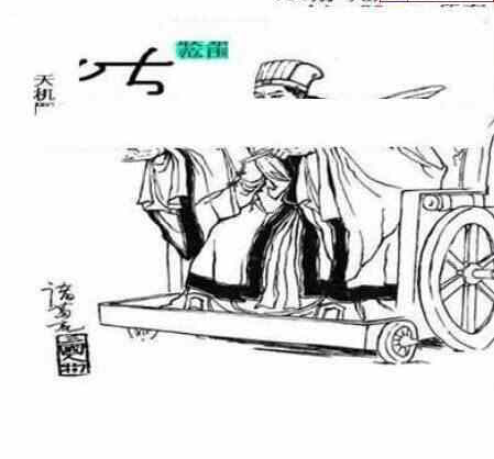 24022期: 三毛3D精品图谜