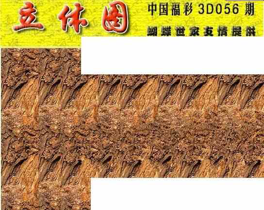 24056期: 3D蝴蝶世家蝴蝶彩图