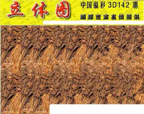 23142期: 3D蝴蝶世家蝴蝶彩图