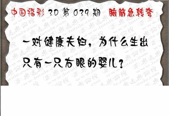 24039期: 3D蝴蝶世家蝴蝶彩图