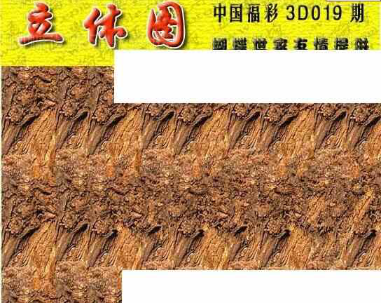 24019期: 3D蝴蝶世家蝴蝶彩图