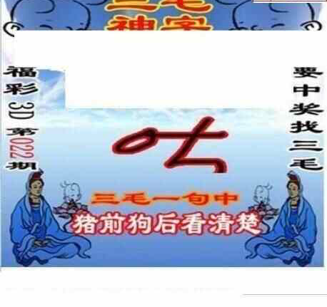 24022期: 三毛3D精品图谜