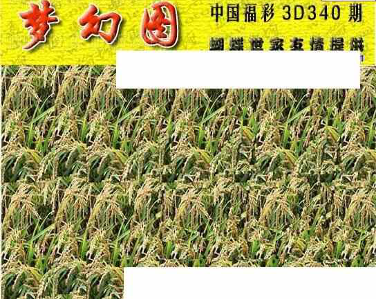 23340期: 3D蝴蝶世家蝴蝶彩图