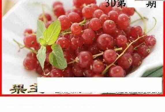 24064期: 白老3D杀码图版