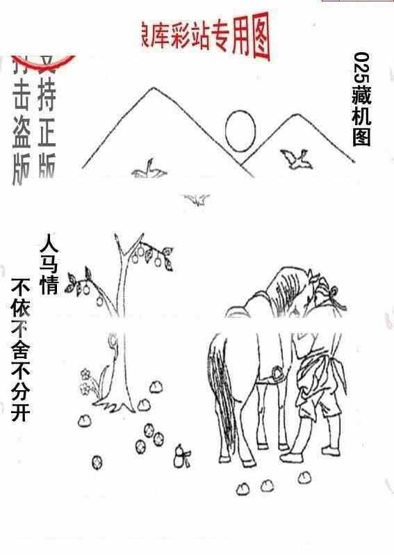 24025期: 老村长福彩3D天天图谜