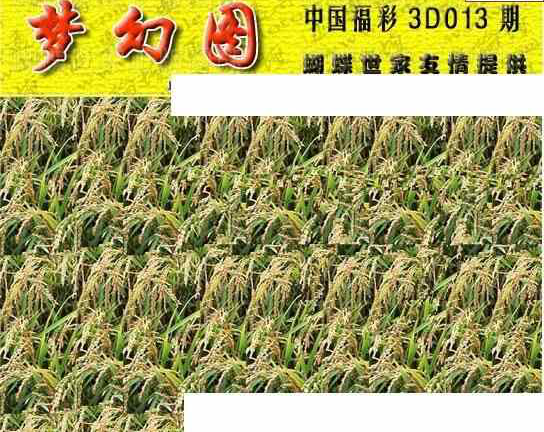 24013期: 3D蝴蝶世家蝴蝶彩图