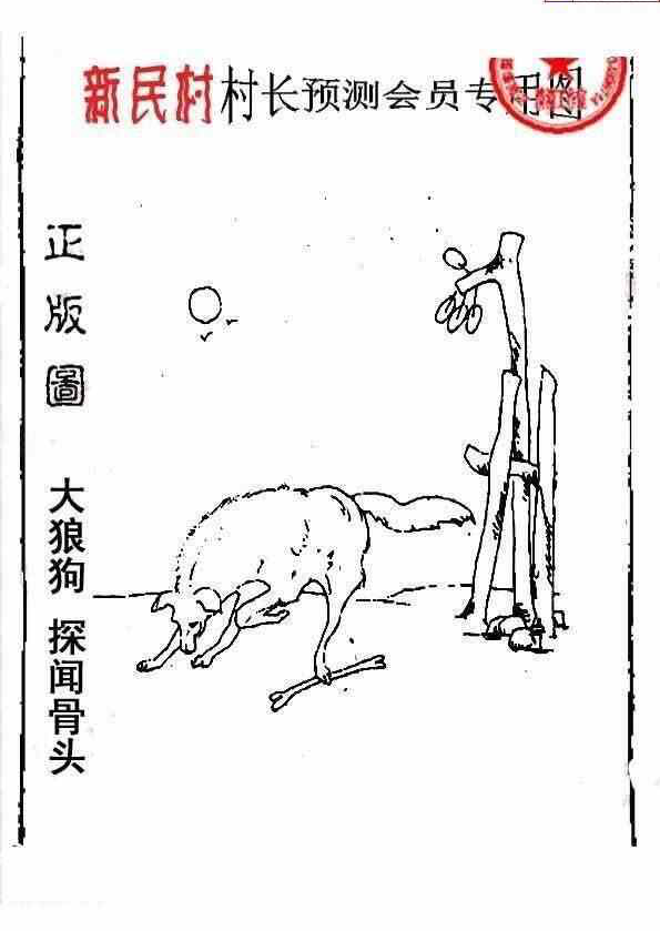 24032期: 老村长福彩3D天天图谜